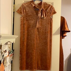 NWT Madewell velvet dress